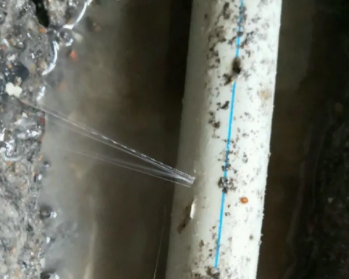 镇雄卫生间测漏水多少钱