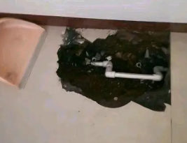 镇雄卫生间测漏水多少钱